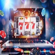 365cucivip